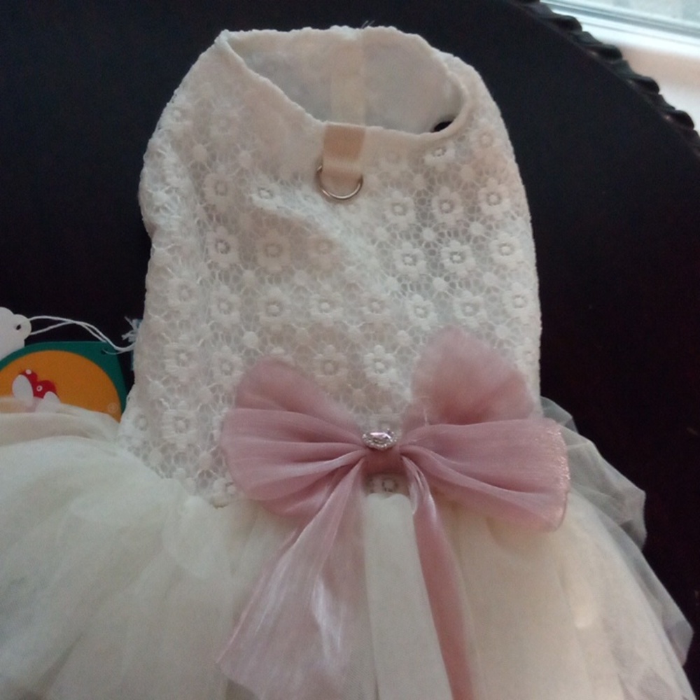 New Ivory Large Pet Dress